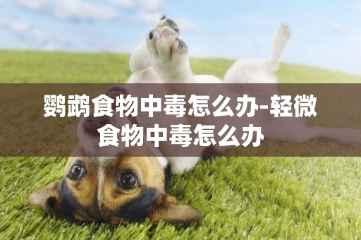 鸚鵡食物中毒怎么辦-輕微食物中毒怎么辦
