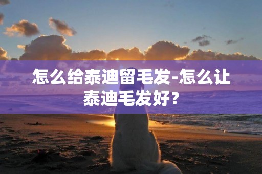 怎么給泰迪留毛發-怎么讓泰迪毛發好？