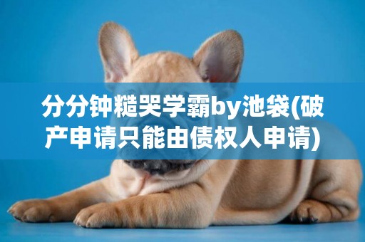分分鐘糙哭學霸by池袋(破產申請只能由債權人申請) 