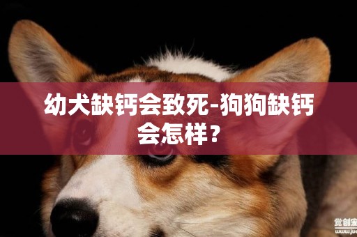 幼犬缺鈣會致死-狗狗缺鈣會怎樣？