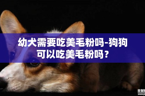 幼犬需要吃美毛粉嗎-狗狗可以吃美毛粉嗎？