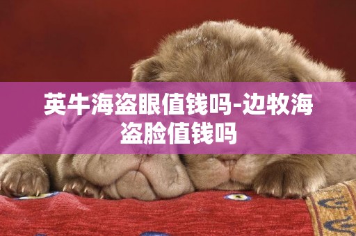 英牛海盜眼值錢嗎-邊牧海盜臉值錢嗎