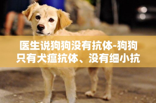 醫生說狗狗沒有抗體-狗狗只有犬瘟抗體、沒有細小抗體