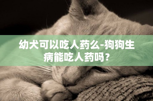 幼犬可以吃人藥么-狗狗生病能吃人藥嗎？