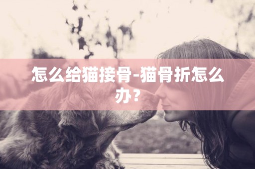 怎么給貓接骨-貓骨折怎么辦？