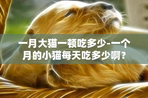一月大貓一頓吃多少-一個月的小貓每天吃多少啊？
