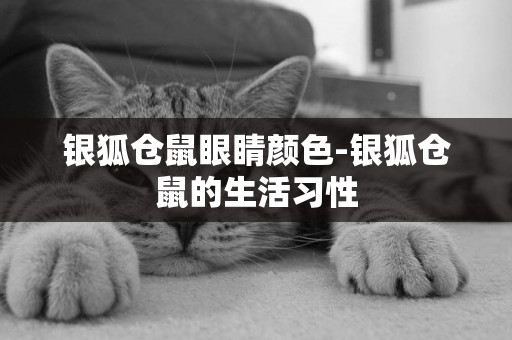 銀狐倉鼠眼睛顏色-銀狐倉鼠的生活習性