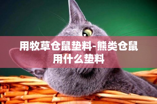 用牧草倉鼠墊料-熊類倉鼠用什么墊料