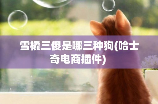 雪橇三傻是哪三種狗(哈士奇電商插件) 