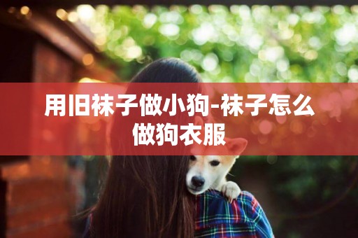 用舊襪子做小狗-襪子怎么做狗衣服