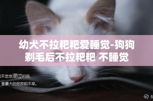 幼犬不拉粑粑愛睡覺-狗狗剃毛后不拉粑粑 不睡覺