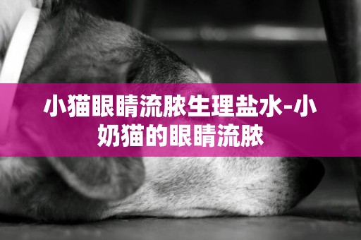 小貓眼睛流膿生理鹽水-小奶貓的眼睛流膿