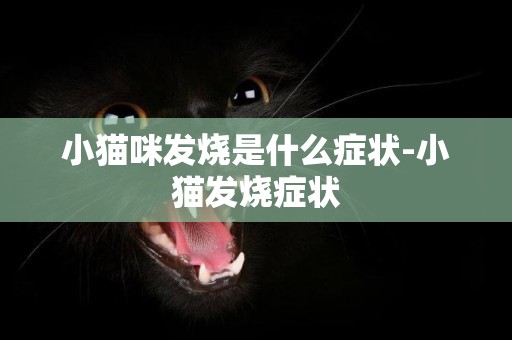 小貓咪發燒是什么癥狀-小貓發燒癥狀