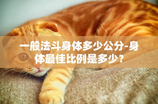 一般法斗身體多少公分-身體最佳比例是多少？