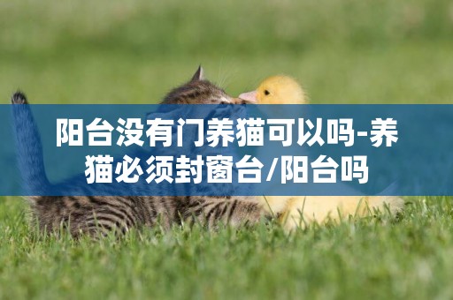 陽臺沒有門養貓可以嗎-養貓必須封窗臺/陽臺嗎