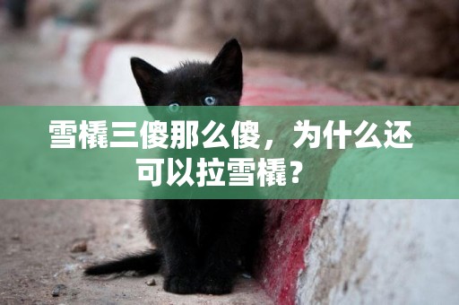 雪橇三傻那么傻，為什么還可以拉雪橇？ 