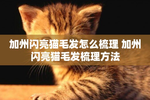 加州閃亮貓毛發怎么梳理 加州閃亮貓毛發梳理方法