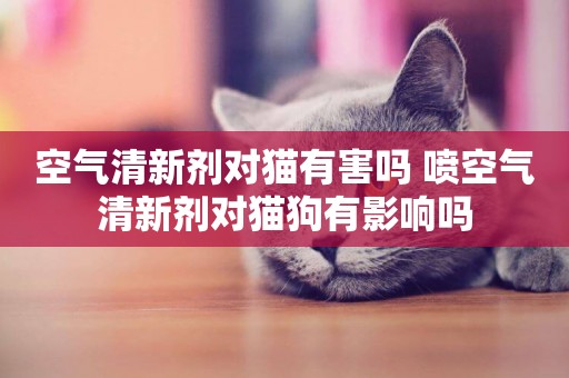 空氣清新劑對貓有害嗎 噴空氣清新劑對貓狗有影響嗎
