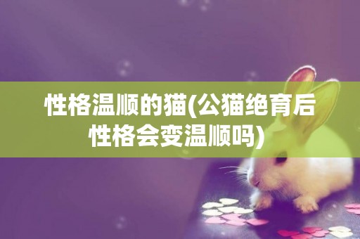 性格溫順的貓(公貓絕育后性格會變溫順嗎) 