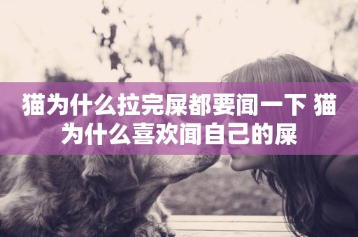 貓為什么拉完屎都要聞一下 貓為什么喜歡聞自己的屎