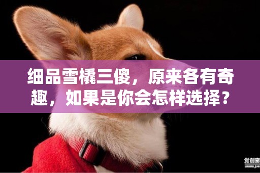 細品雪橇三傻，原來各有奇趣，如果是你會怎樣選擇？ 