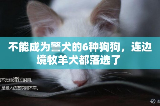 不能成為警犬的6種狗狗，連邊境牧羊犬都落選了 