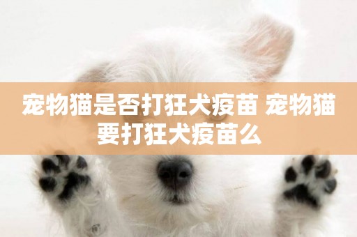 寵物貓是否打狂犬疫苗 寵物貓要打狂犬疫苗么