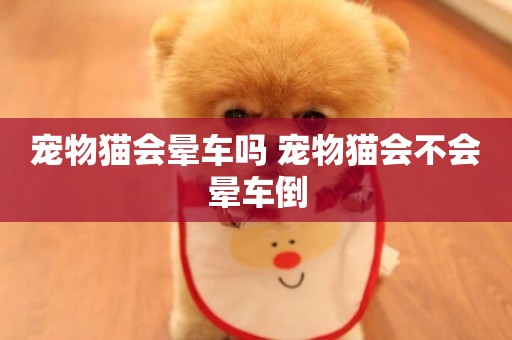 寵物貓會暈車嗎 寵物貓會不會暈車倒