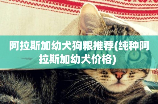 阿拉斯加幼犬狗糧推薦(純種阿拉斯加幼犬價格) 