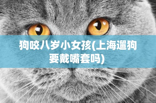 狗咬八歲小女孩(上海遛狗要戴嘴套嗎) 