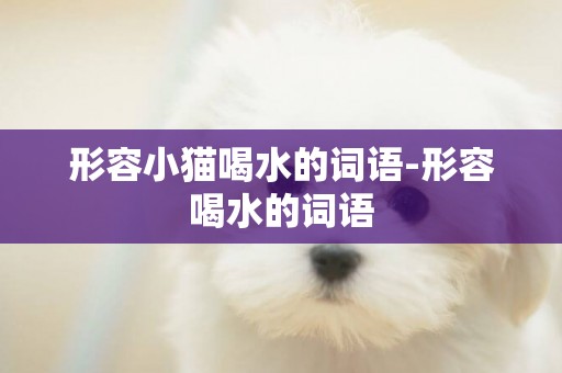 形容小貓喝水的詞語-形容喝水的詞語