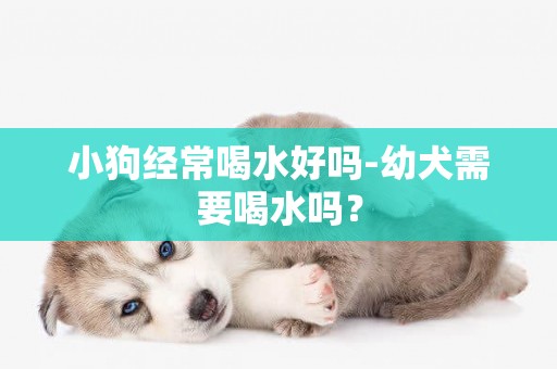 小狗經常喝水好嗎-幼犬需要喝水嗎？