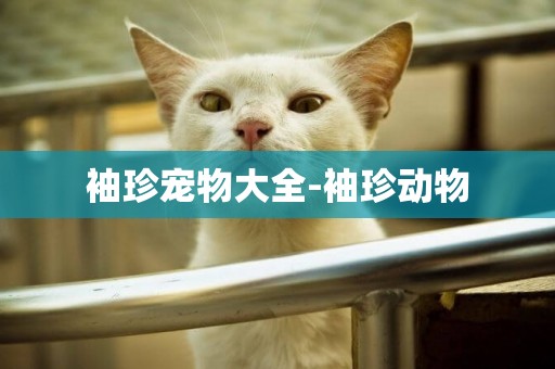 袖珍寵物大全-袖珍動物
