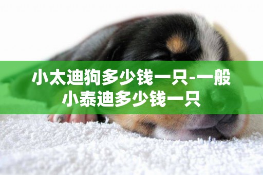 小太迪狗多少錢一只-一般小泰迪多少錢一只