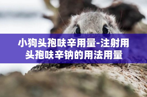 小狗頭孢呋辛用量-注射用頭孢呋辛鈉的用法用量