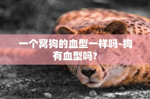 一個窩狗的血型一樣嗎-狗有血型嗎?