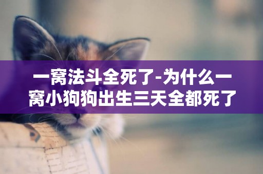 一窩法斗全死了-為什么一窩小狗狗出生三天全都死了