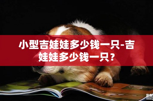 小型吉娃娃多少錢一只-吉娃娃多少錢一只？