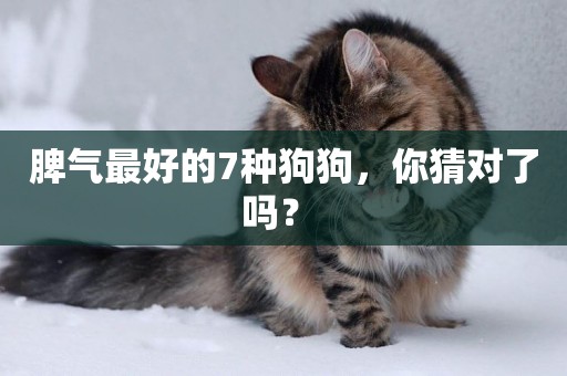 脾氣最好的7種狗狗，你猜對了嗎？ 