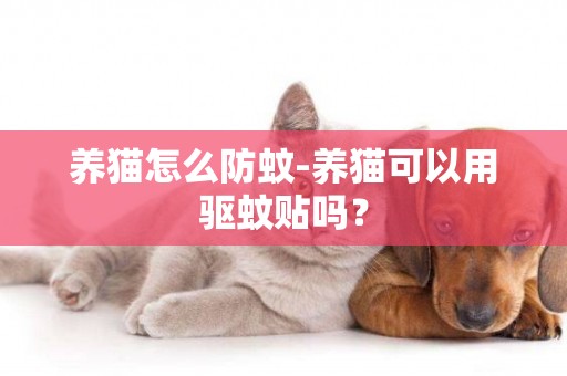 養貓怎么防蚊-養貓可以用驅蚊貼嗎？