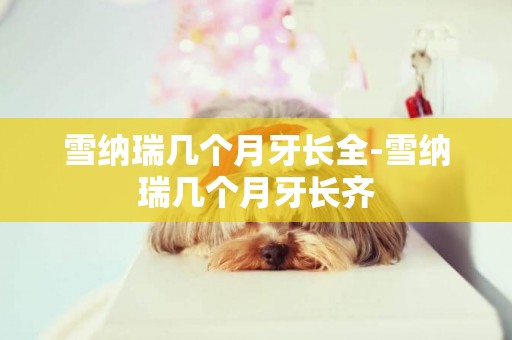 雪納瑞幾個月牙長全-雪納瑞幾個月牙長齊