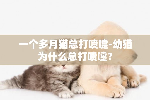 一個多月貓總打噴嚏-幼貓為什么總打噴嚏？