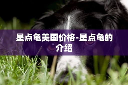星點龜美國價格-星點龜的介紹