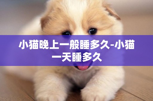 小貓晚上一般睡多久-小貓一天睡多久