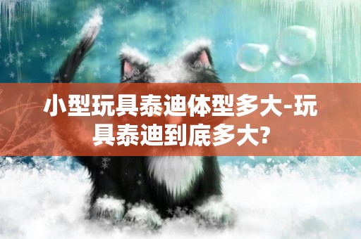小型玩具泰迪體型多大-玩具泰迪到底多大?