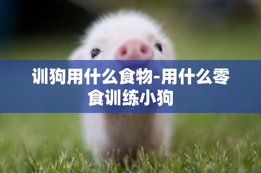 訓狗用什么食物-用什么零食訓練小狗