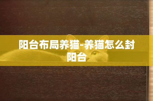 陽臺布局養貓-養貓怎么封陽臺