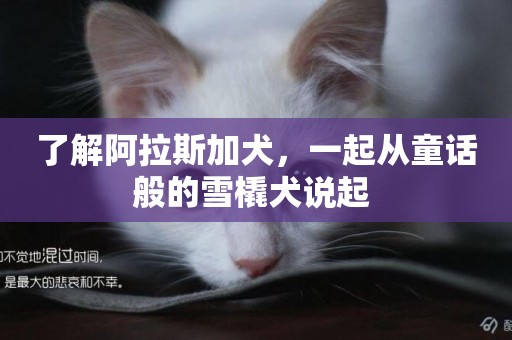 了解阿拉斯加犬，一起從童話般的雪橇犬說起 