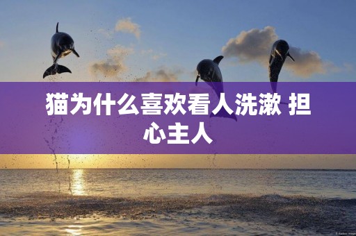貓為什么喜歡看人洗漱 擔心主人