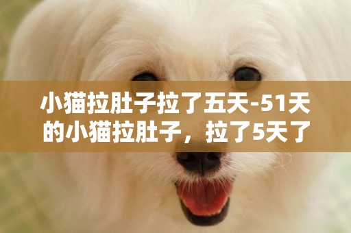 小貓拉肚子拉了五天-51天的小貓拉肚子，拉了5天了，怎么辦？